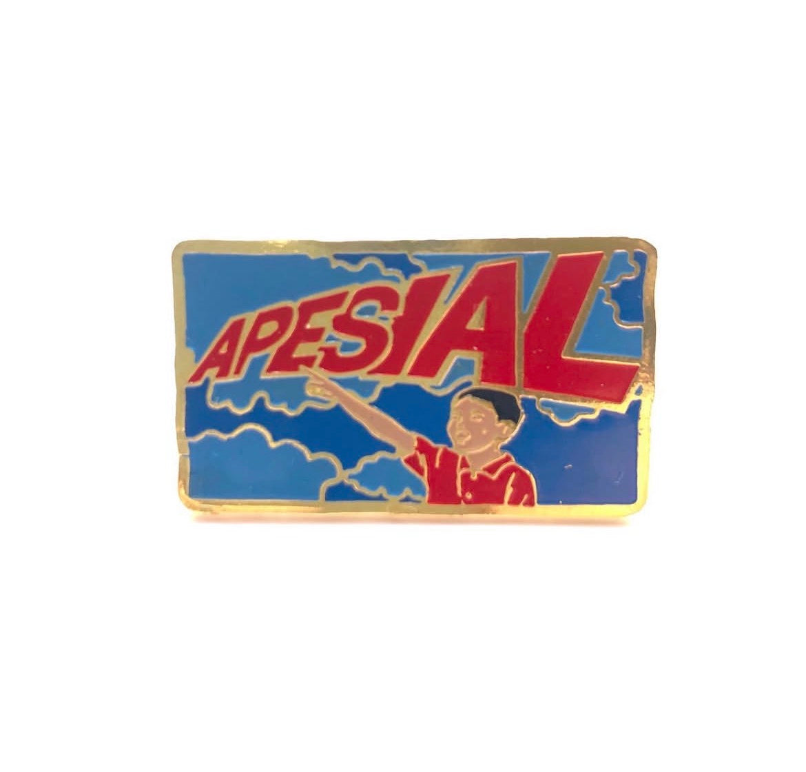 Apesial Pin